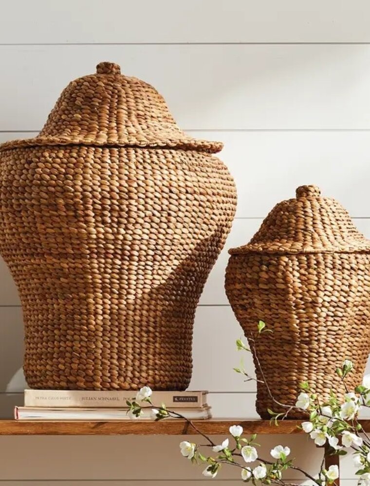 Napa Home & Garden Set of 2 Water Hyacinth Ginger Jars