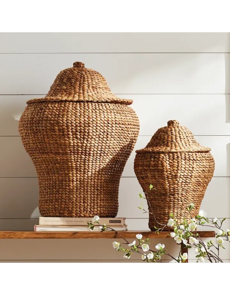 Napa Home & Garden Set of 2 Water Hyacinth Ginger Jars