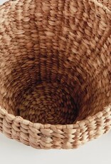 Napa Home & Garden Set of 2 Water Hyacinth Ginger Jars