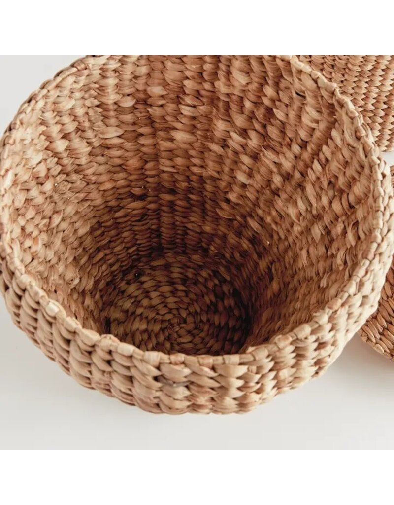 Napa Home & Garden Set of 2 Water Hyacinth Ginger Jars