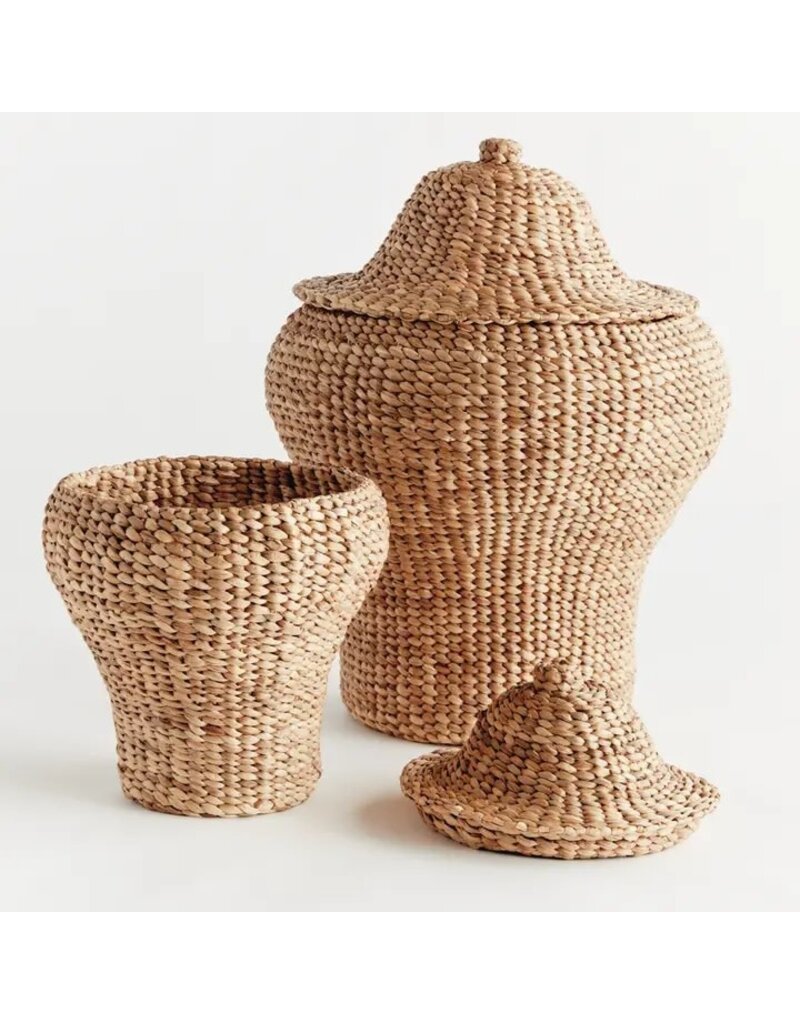 Napa Home & Garden Set of 2 Water Hyacinth Ginger Jars
