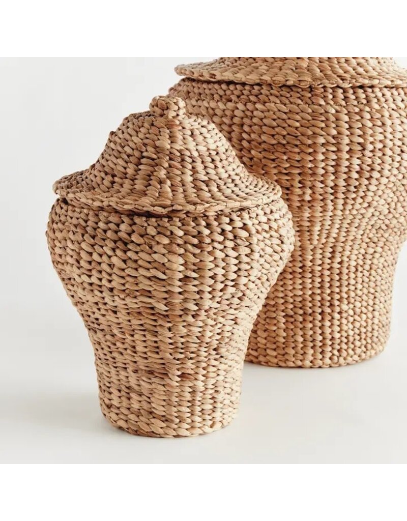 Napa Home & Garden Set of 2 Water Hyacinth Ginger Jars