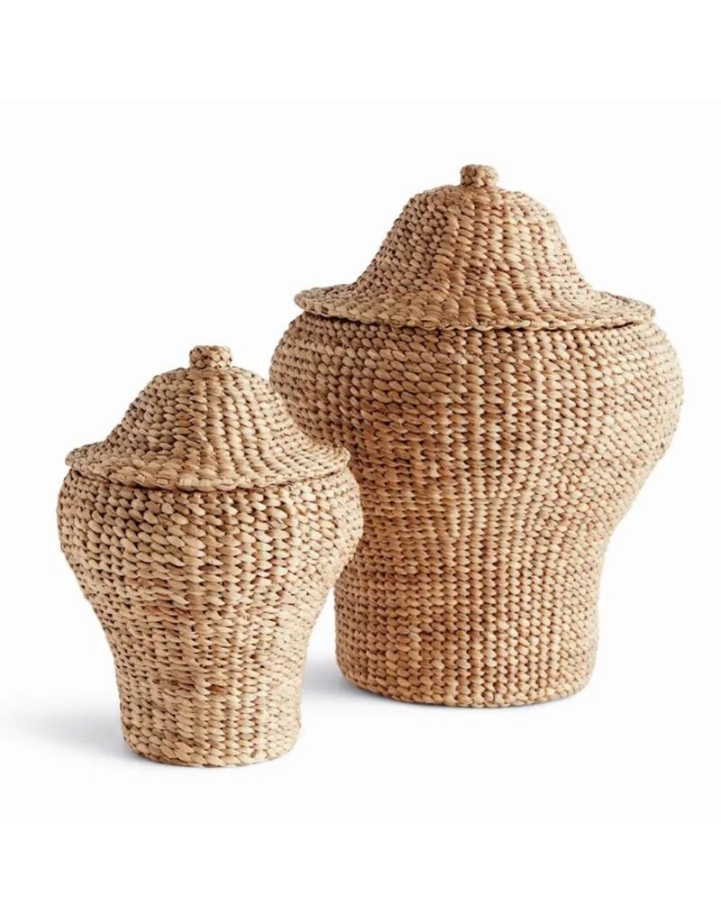 Napa Home & Garden Set of 2 Water Hyacinth Ginger Jars