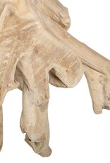 Teak Natura Root Console Table, Natural