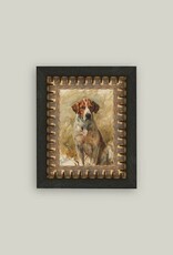 Petal Lane 5 x 7 Study of the Hound