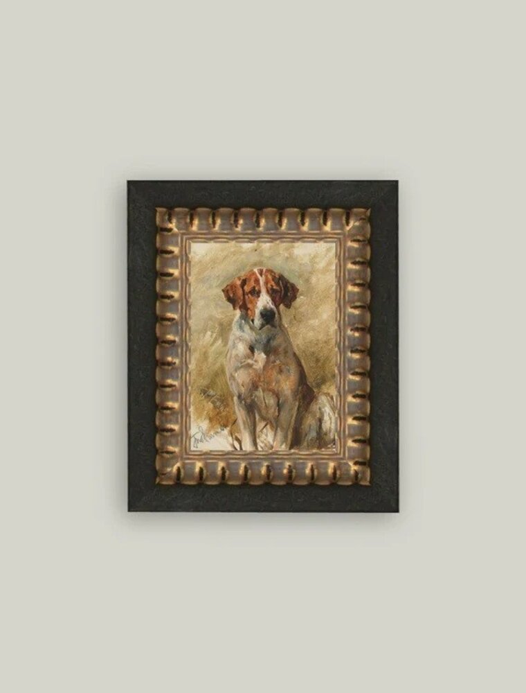 Petal Lane 5 x 7 Study of the Hound