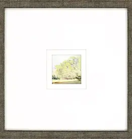 Paragon Petite Sunrise A