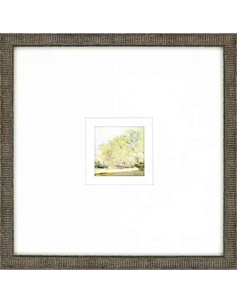 Paragon Petite Sunrise A