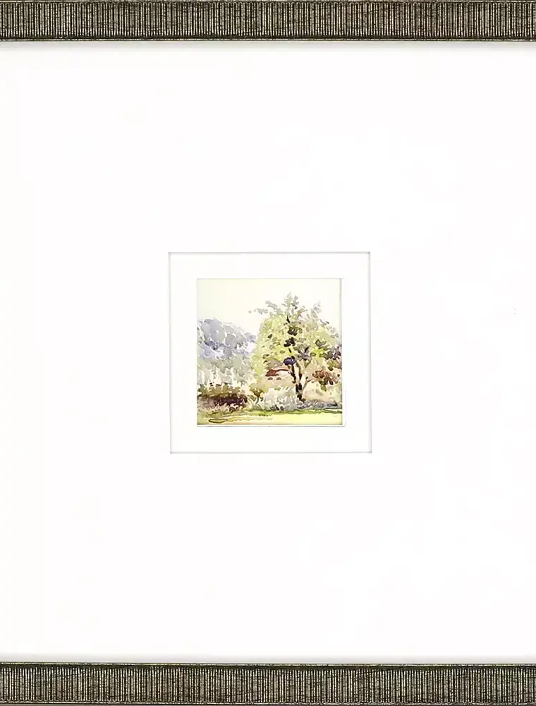Paragon Petite Sunrise B
