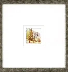 Paragon Petite Sunrise C