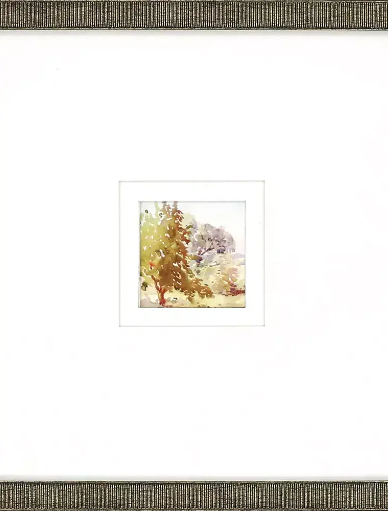 Paragon Petite Sunrise C