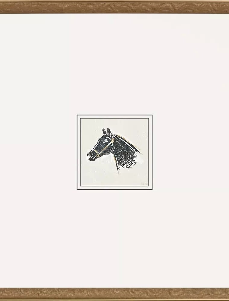 Paragon Equestrian Study B