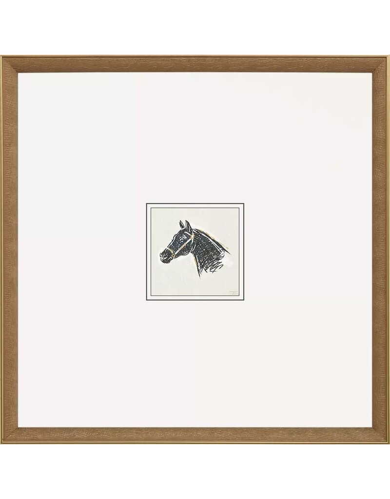Paragon Equestrian Study B