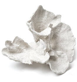 Flaire Large White Flower Coral 9"
