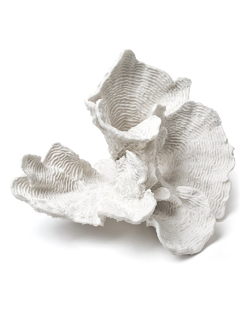 Flaire Large White Flower Coral 9"