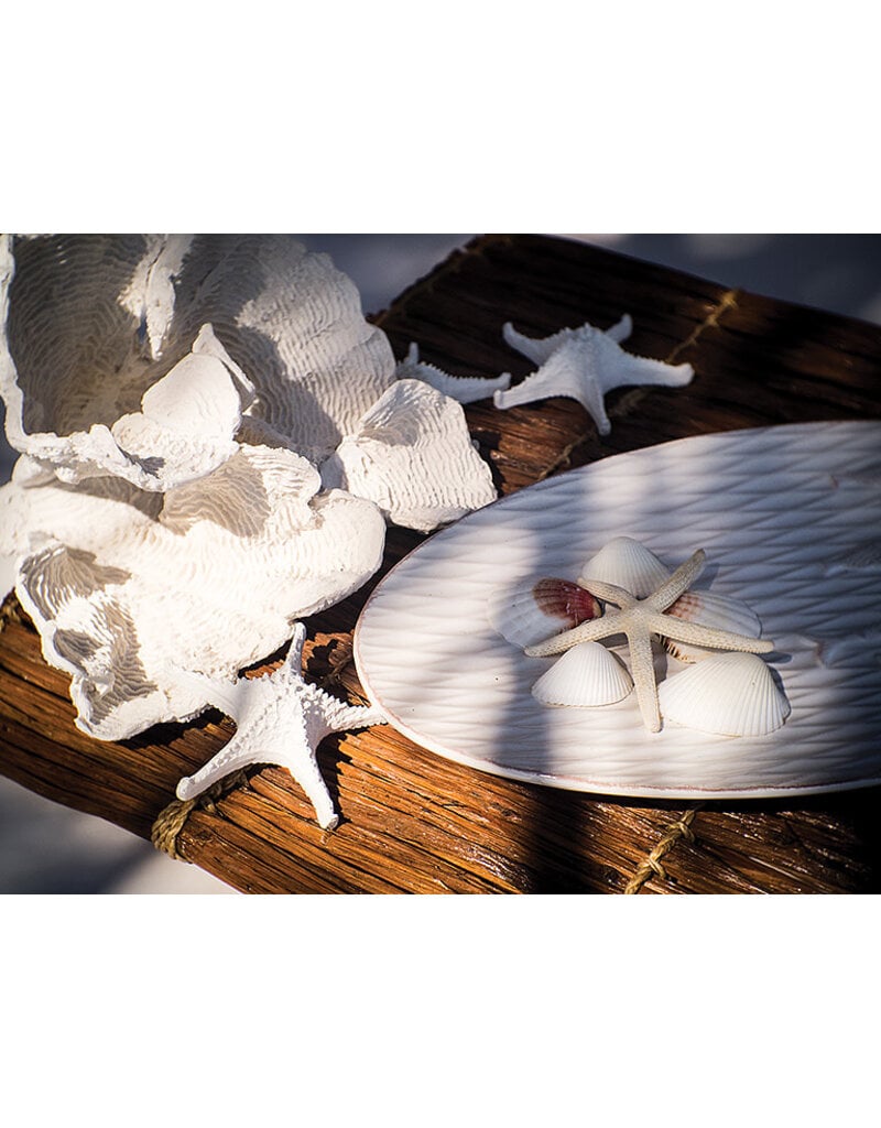 Flaire Large White Flower Coral 9"