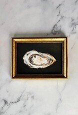 Flaire 5 x 7 Oyster - Art Print w/Frame