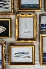 Flaire 5 x 7 Sardines II - Art Print w/Frame