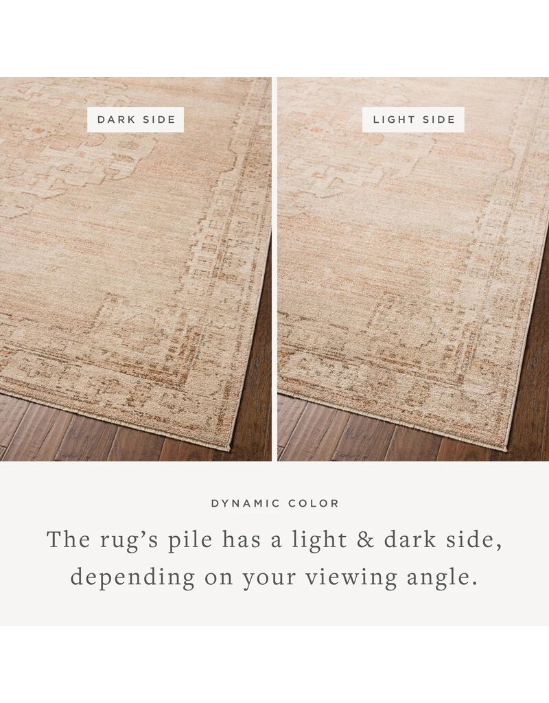 LOLOI 8'x10' (7'10" x 10') Palma Rug