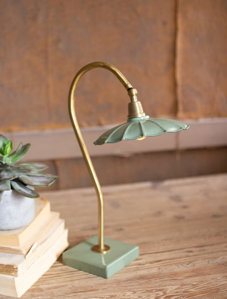 Antique Brass Goose Neck Table Lamp w/Enamel Shade