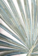 Rightside Design Fan Palm - Indoor/Outdoor