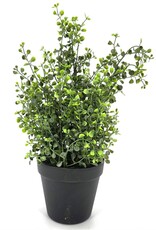AB Floral 13" Leaf Spray with Pot