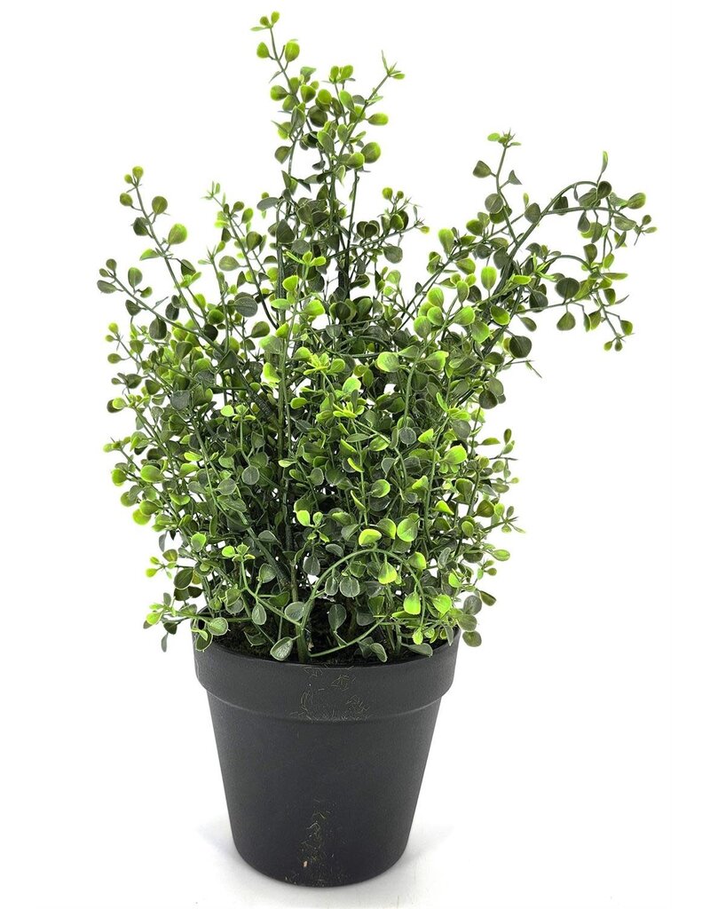 AB Floral 13" Leaf Spray with Pot