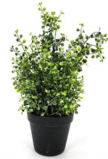 AB Floral 10" Leaf Spray with Pot