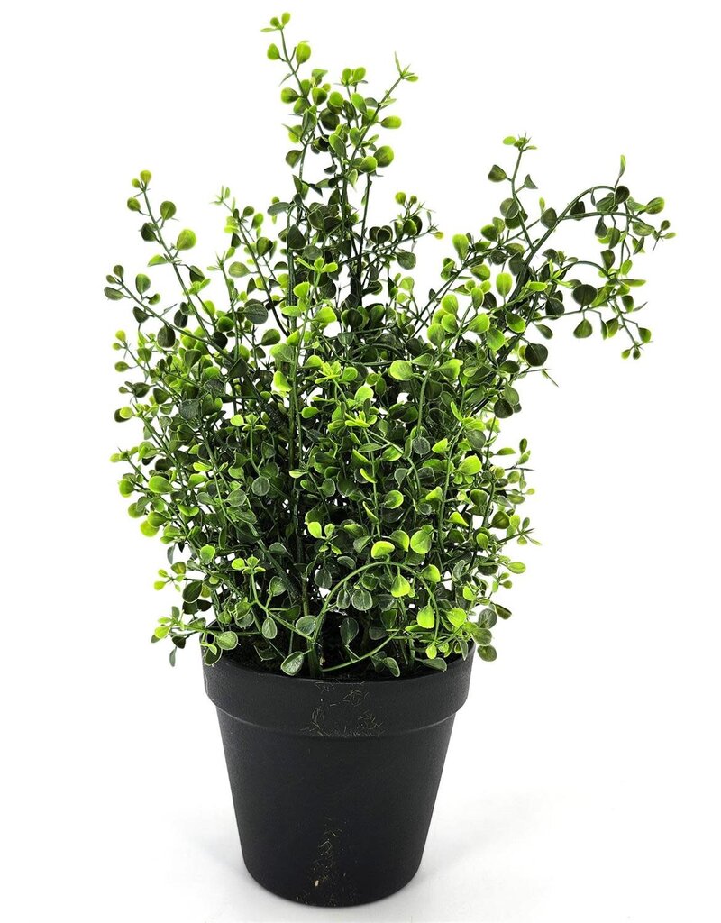 AB Floral 10" Leaf Spray with Pot