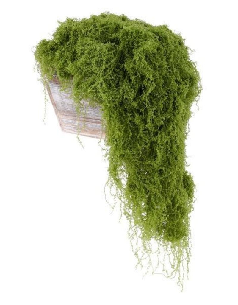 AB Floral 100G Fabric Moss in Bag - Lt. Green