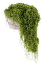 AB Floral 500G Fabric Moss in Bag - Lt Green