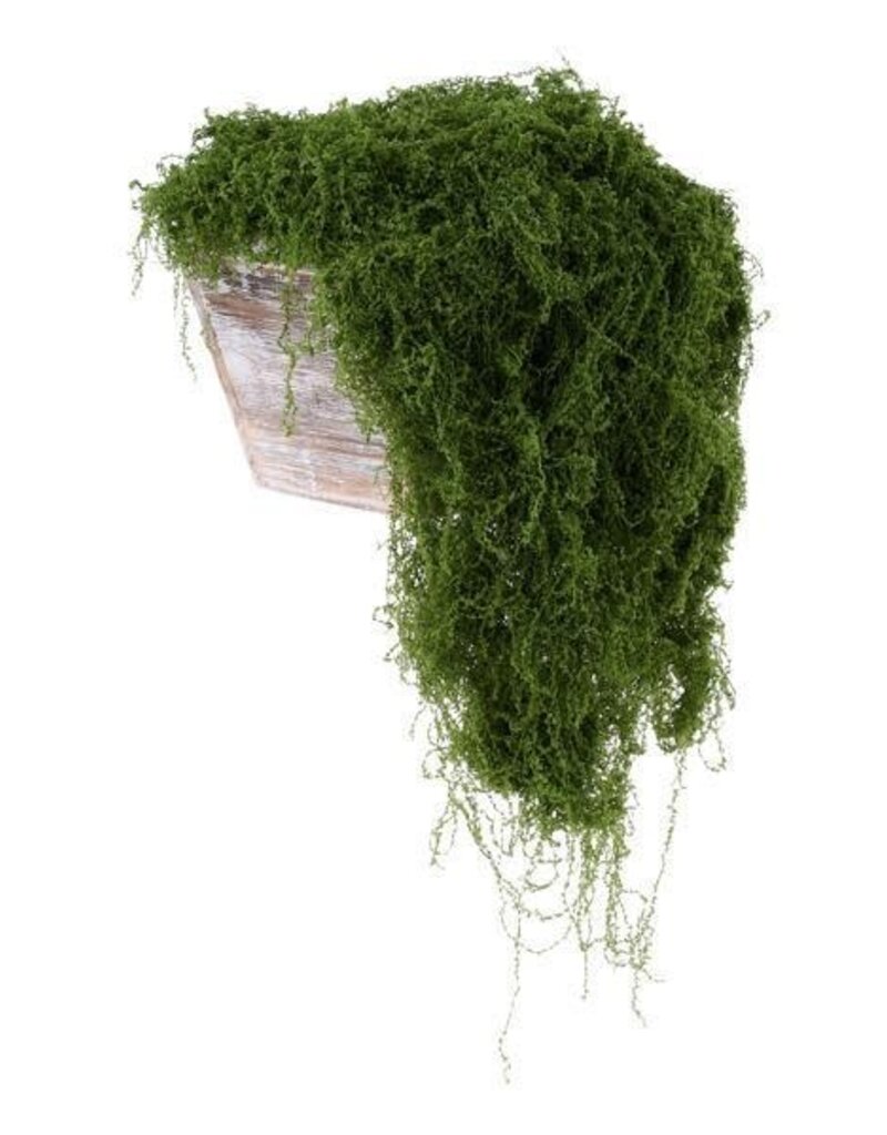 AB Floral 500G Fabric Moss in Bag - Dark Green