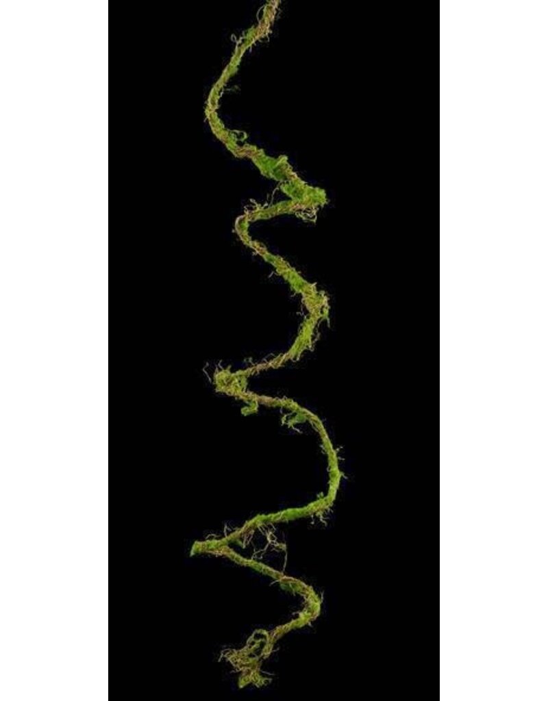 AB Floral 79" Long Moss Vine