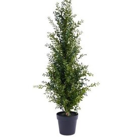 AB Floral 48" Potted Boxwood Tree