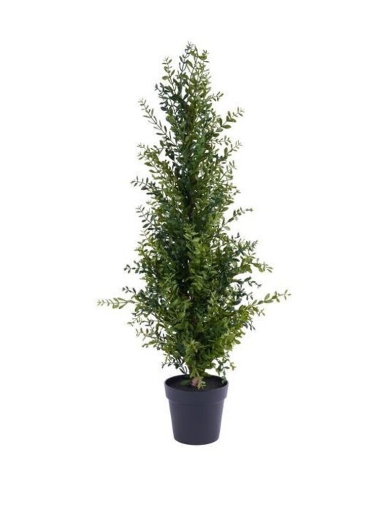 AB Floral 48" Potted Boxwood Tree