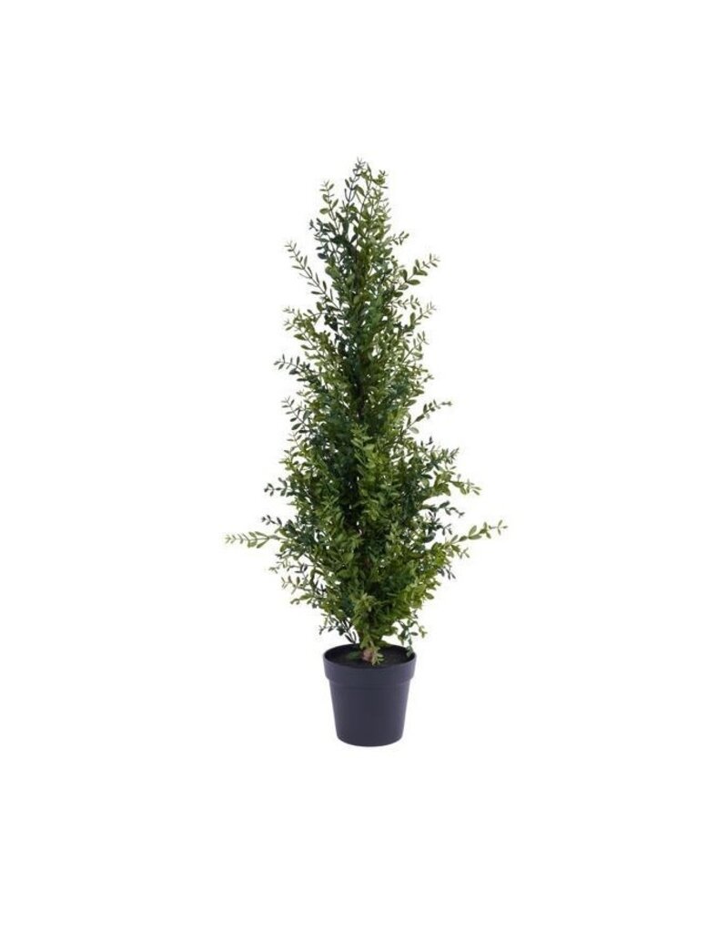AB Floral 48" Potted Boxwood Tree