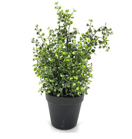 AB Floral 13" Leaf Spray with Pot