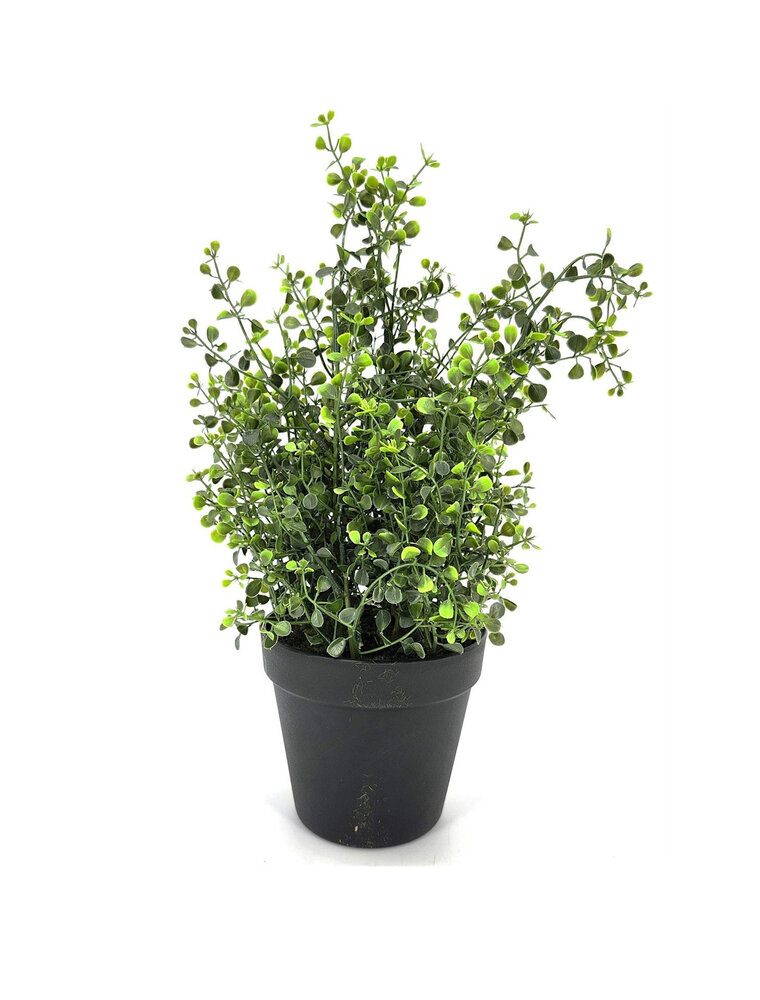 AB Floral 13" Leaf Spray with Pot