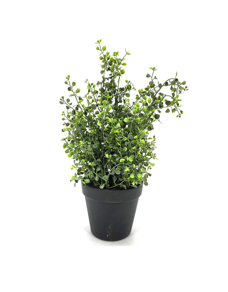 AB Floral 13" Leaf Spray with Pot