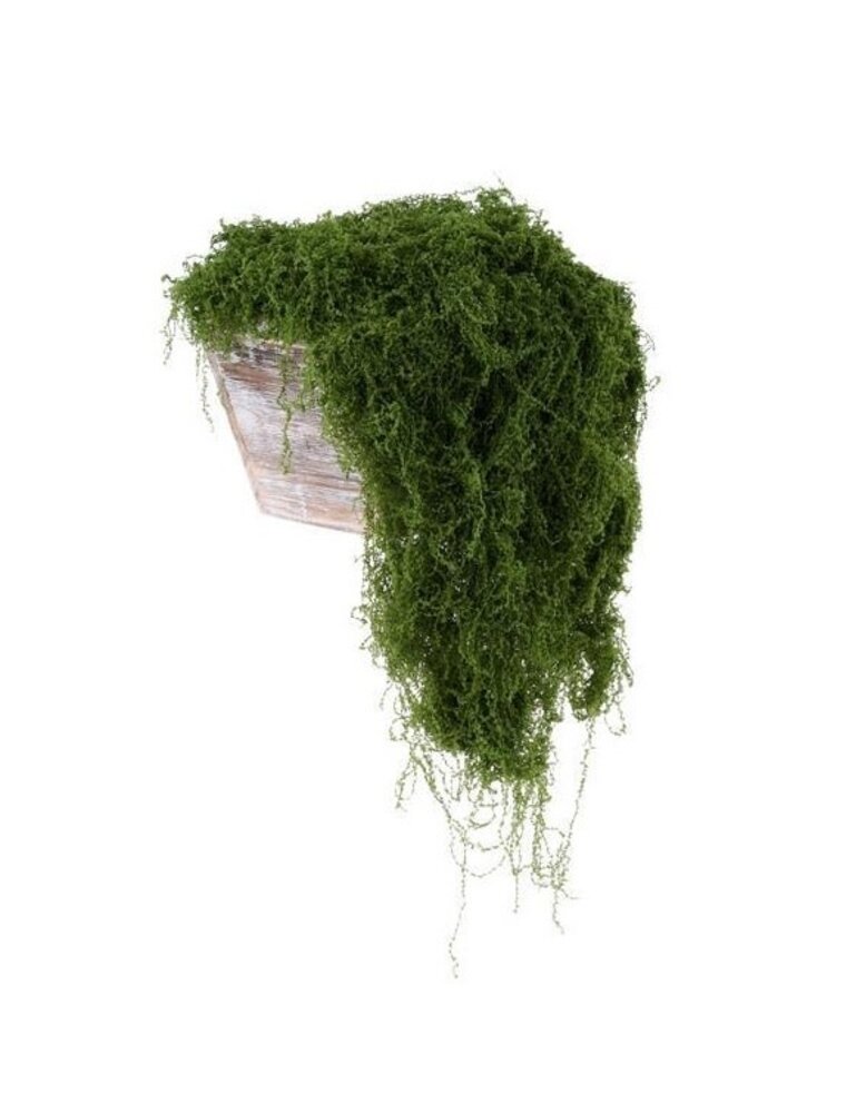 AB Floral 100G Fabric Moss in Bag - Dark Green