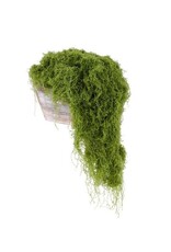 AB Floral 100G Fabric Moss in Bag - Lt. Green