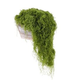 AB Floral 100G Fabric Moss in Bag - Lt. Green