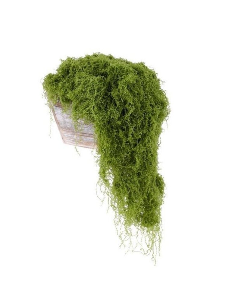 AB Floral 100G Fabric Moss in Bag - Lt. Green