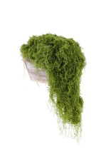 AB Floral 500G Fabric Moss in Bag - Lt Green