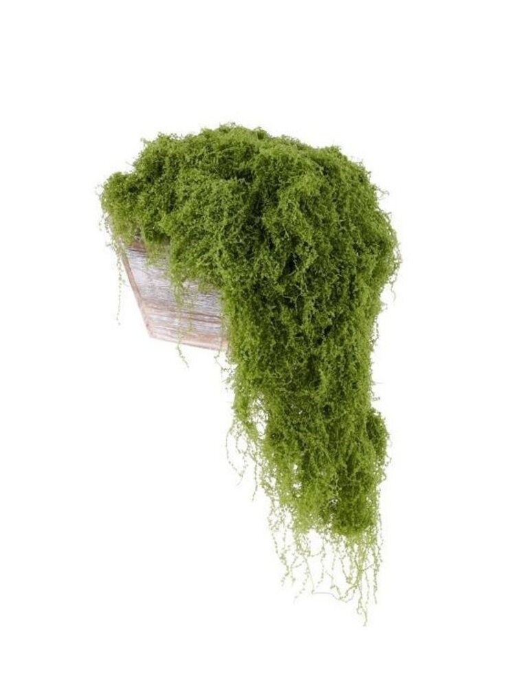 AB Floral 500G Fabric Moss in Bag - Lt Green