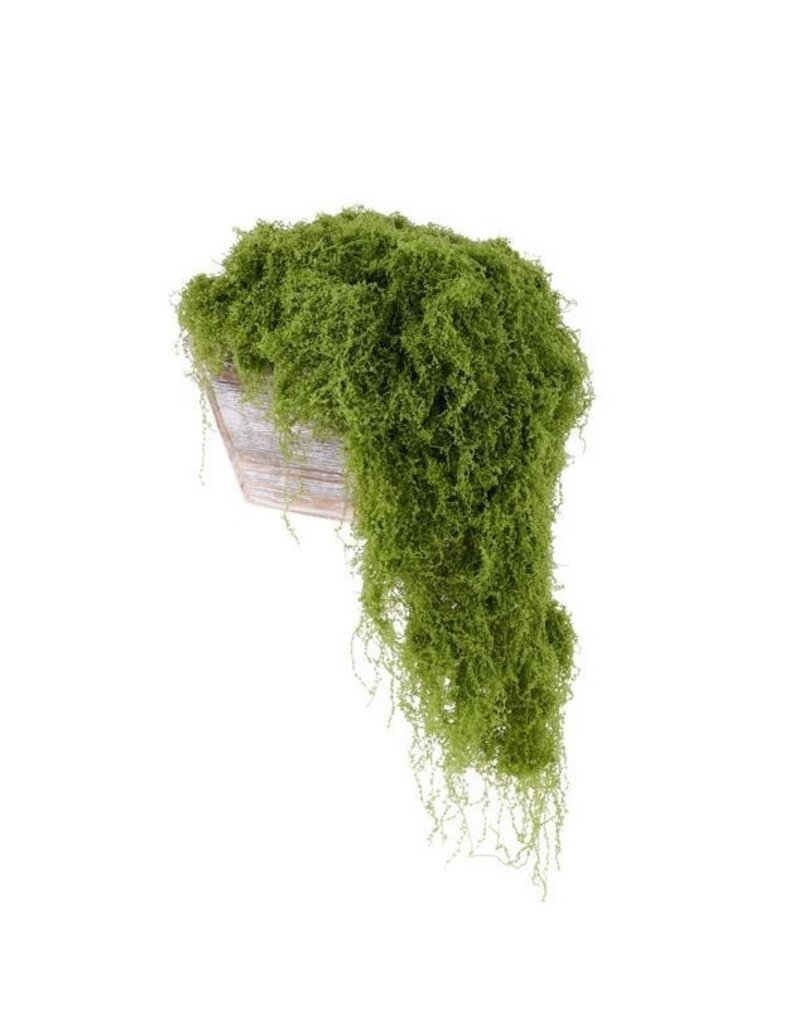 AB Floral 500G Fabric Moss in Bag - Lt Green