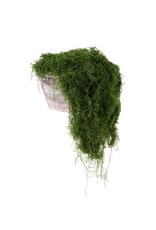 AB Floral 500G Fabric Moss in Bag - Dark Green