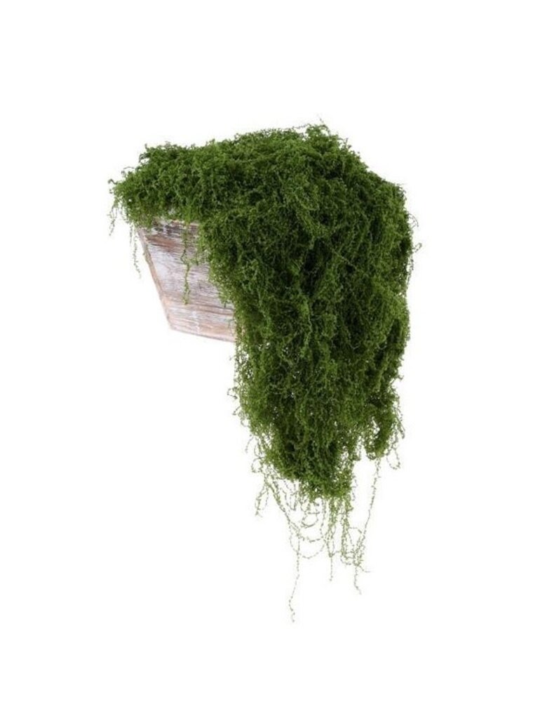 AB Floral 500G Fabric Moss in Bag - Dark Green