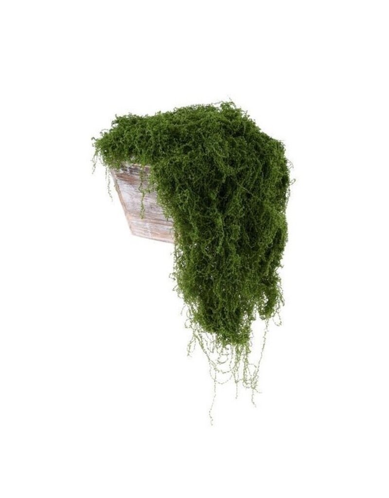 AB Floral 500G Fabric Moss in Bag - Dark Green