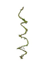 AB Floral 79" Long Moss Vine